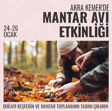 Akra Kemer Firsatlar Mantar Avi Card List